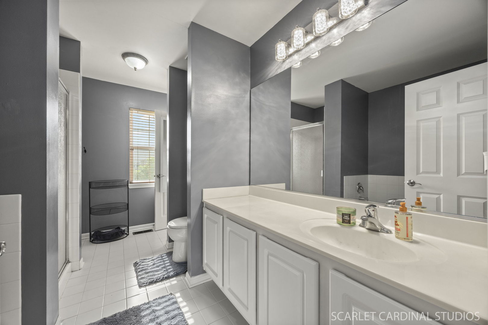 854 Preston Lane, Oswego, IL 60543