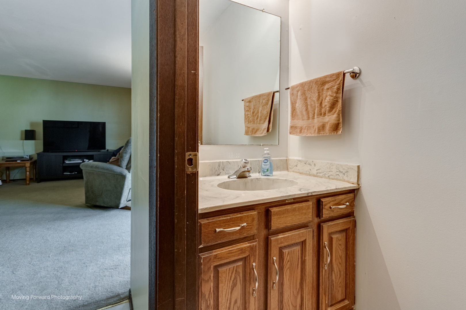 209 Campbell Drive, Bolingbrook, IL 60440