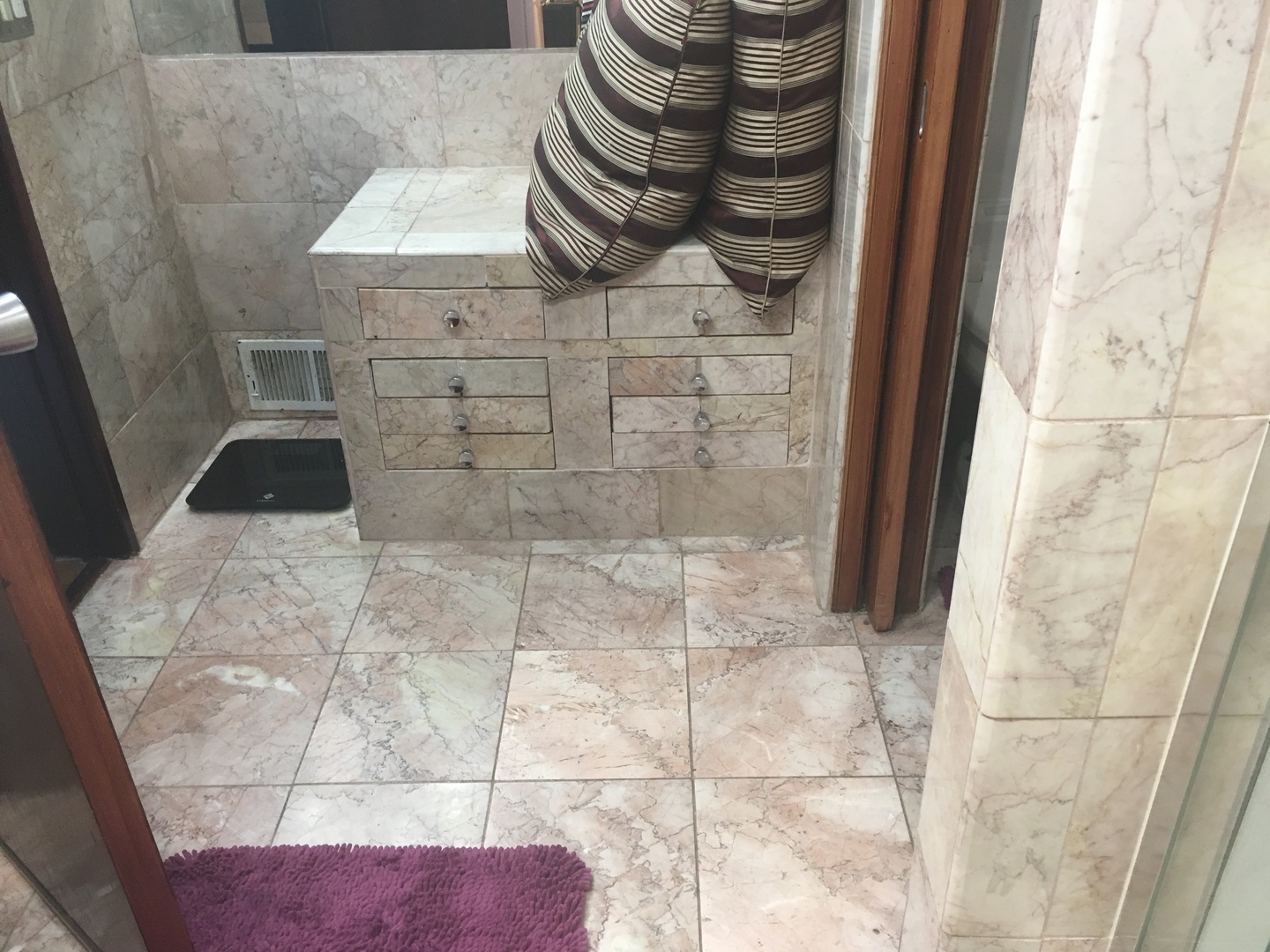 224 E 86th Street, Chicago, IL 60619