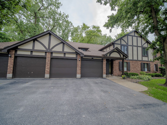 8125 WILLOW Drive #C, Palos Hills, IL 60465