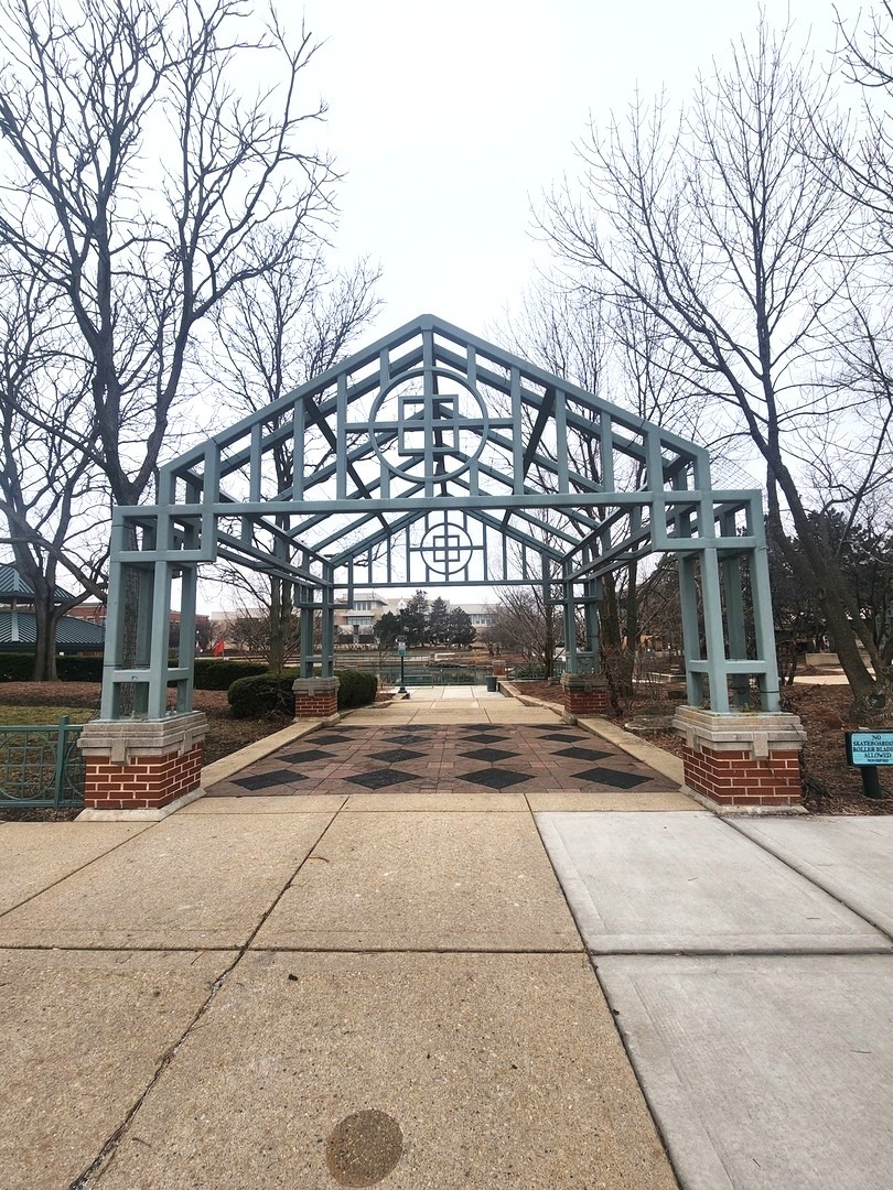 321 Carmelhead Lane, Schaumburg, IL 60193