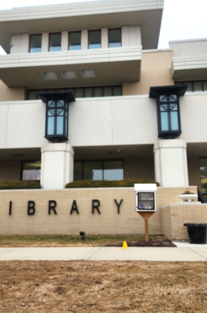 321 Carmelhead Lane, Schaumburg, IL 60193