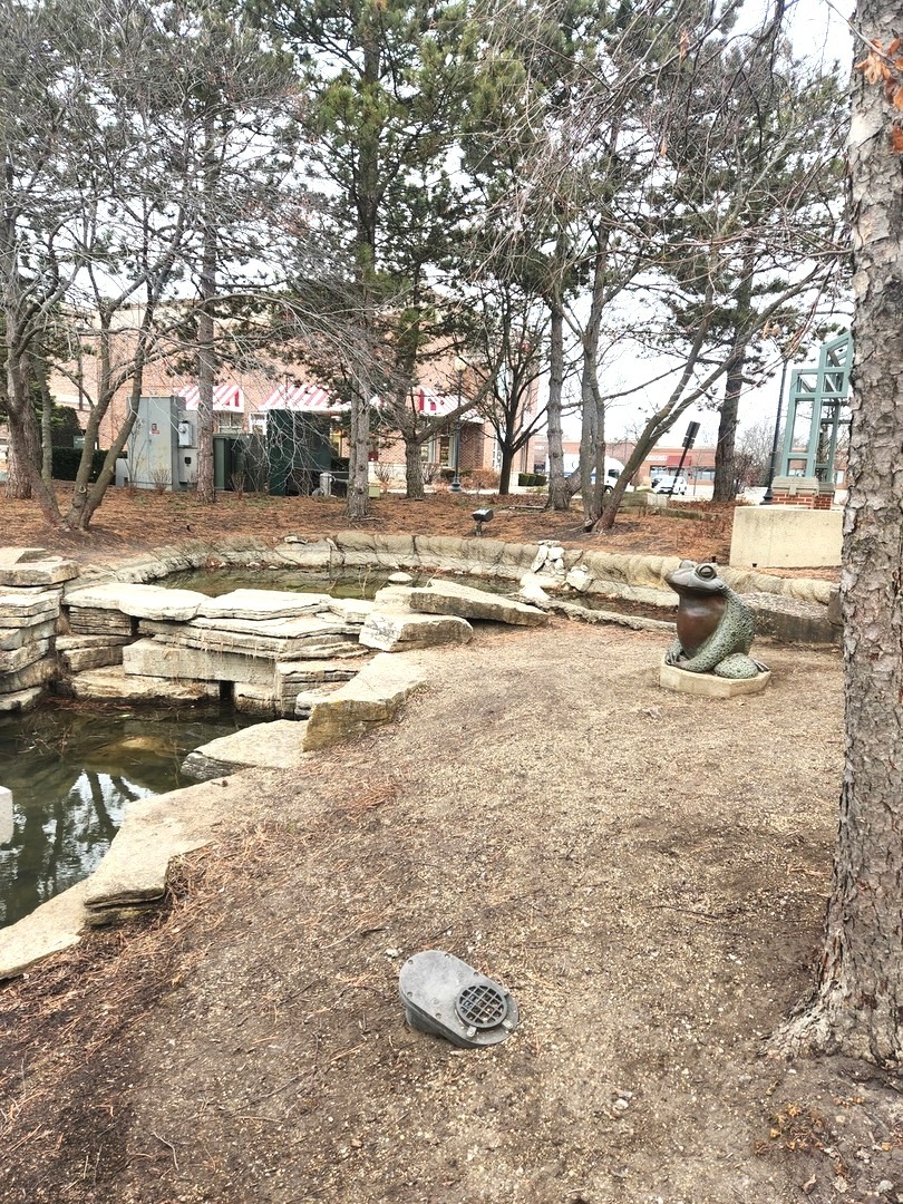 321 Carmelhead Lane, Schaumburg, IL 60193