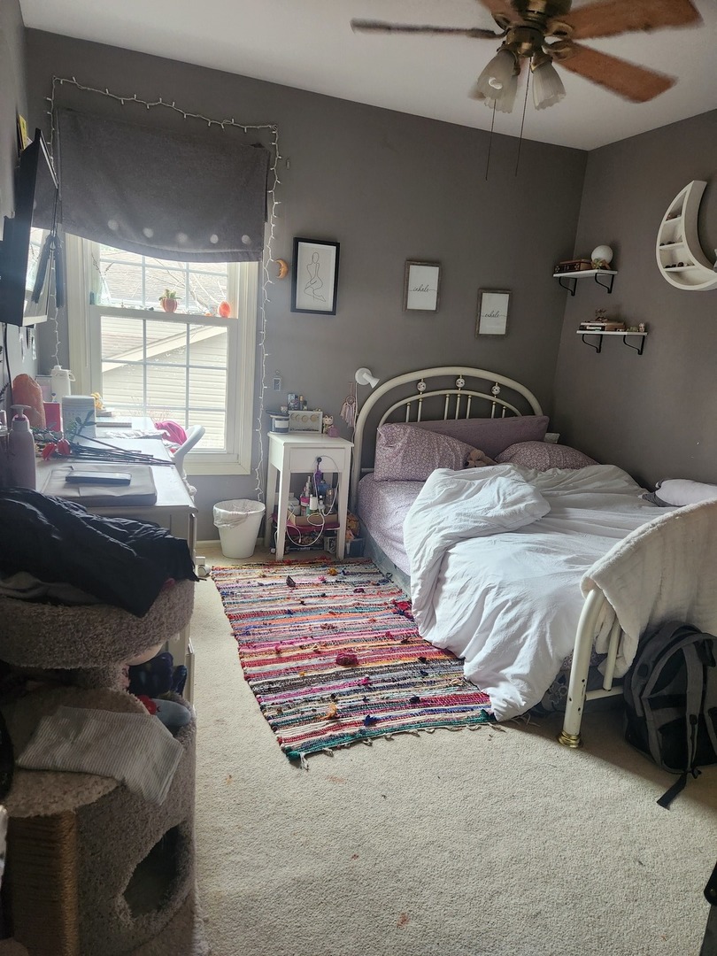 321 Carmelhead Lane, Schaumburg, IL 60193