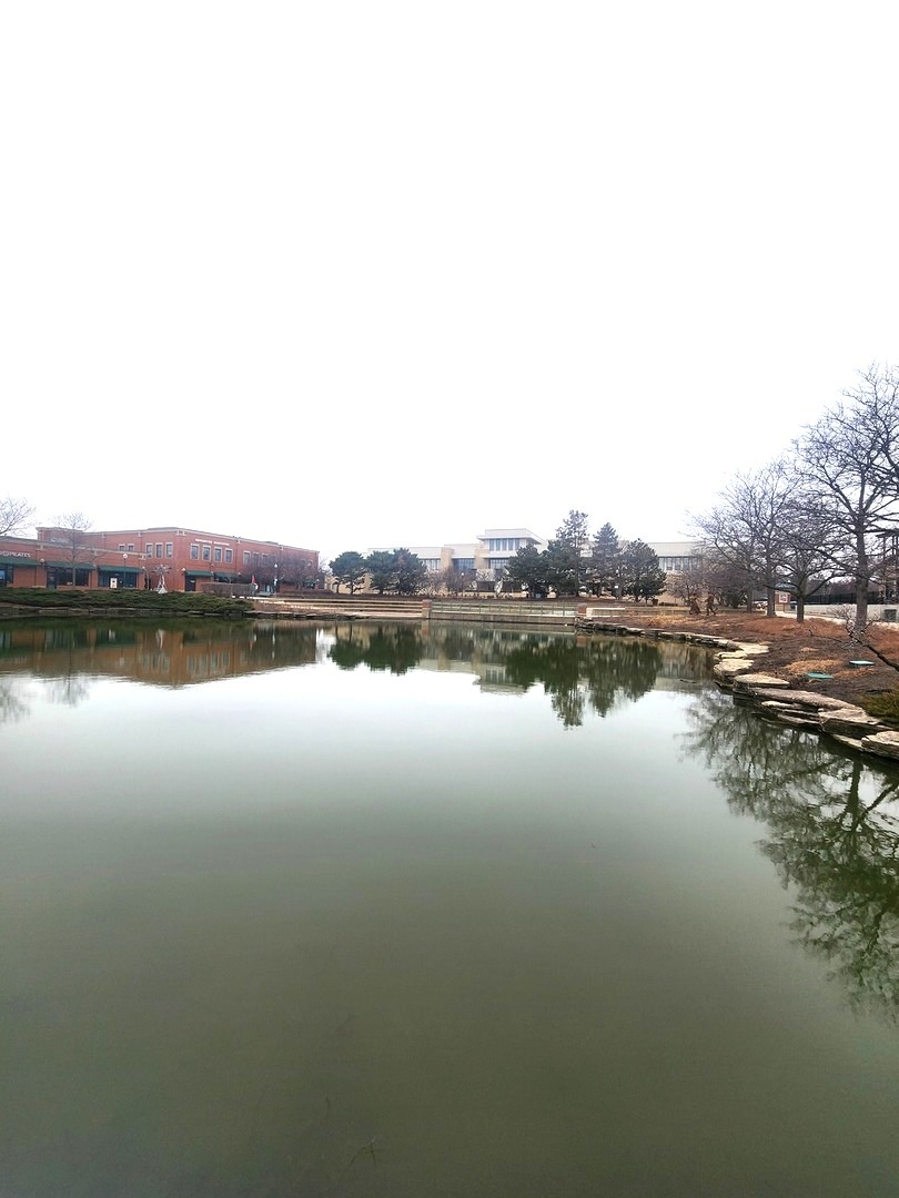 321 Carmelhead Lane, Schaumburg, IL 60193