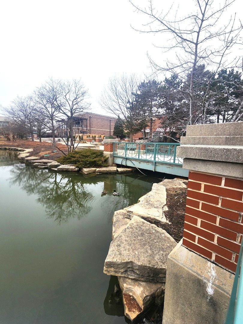 321 Carmelhead Lane, Schaumburg, IL 60193