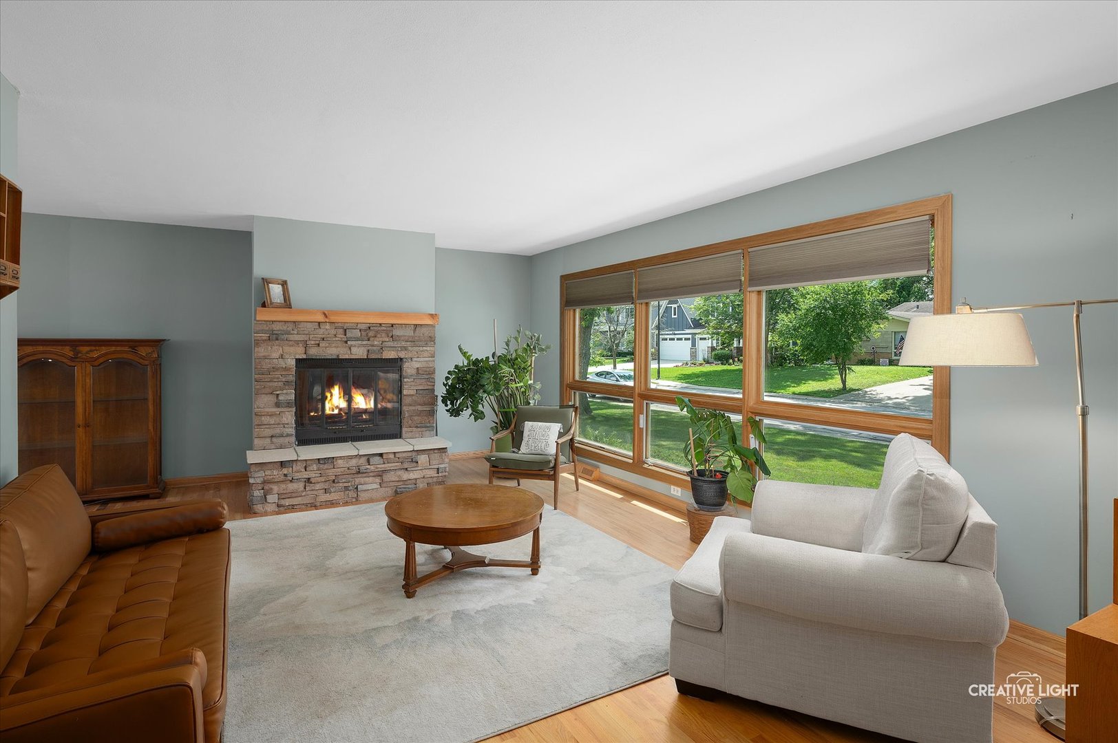 225 Elmwood Drive, Naperville, IL 60540