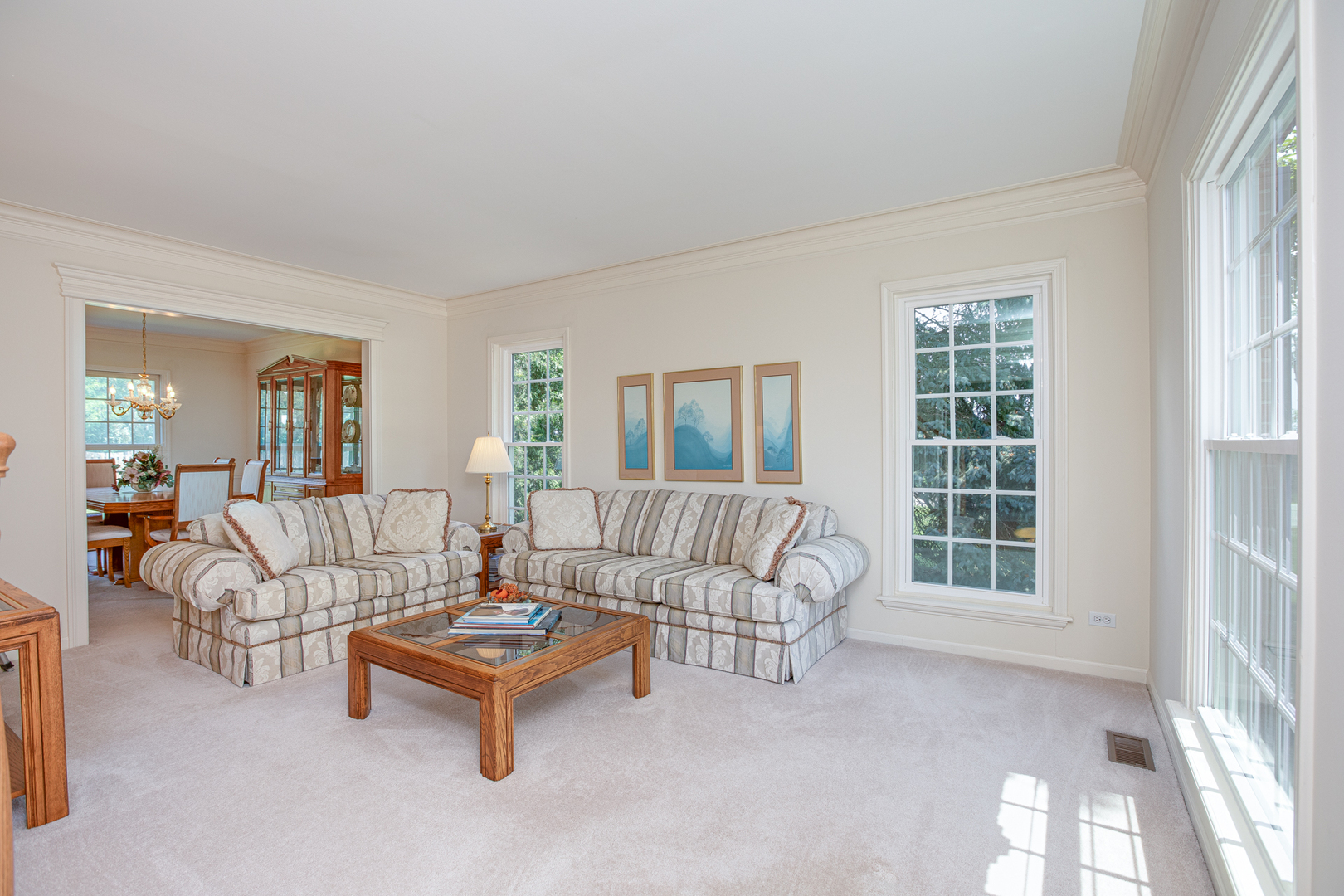 857 Meadowlark Drive, West Chicago, IL 60185