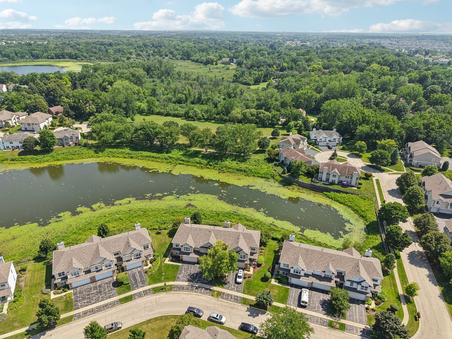452 Blue Springs Drive, Fox Lake, IL 60020