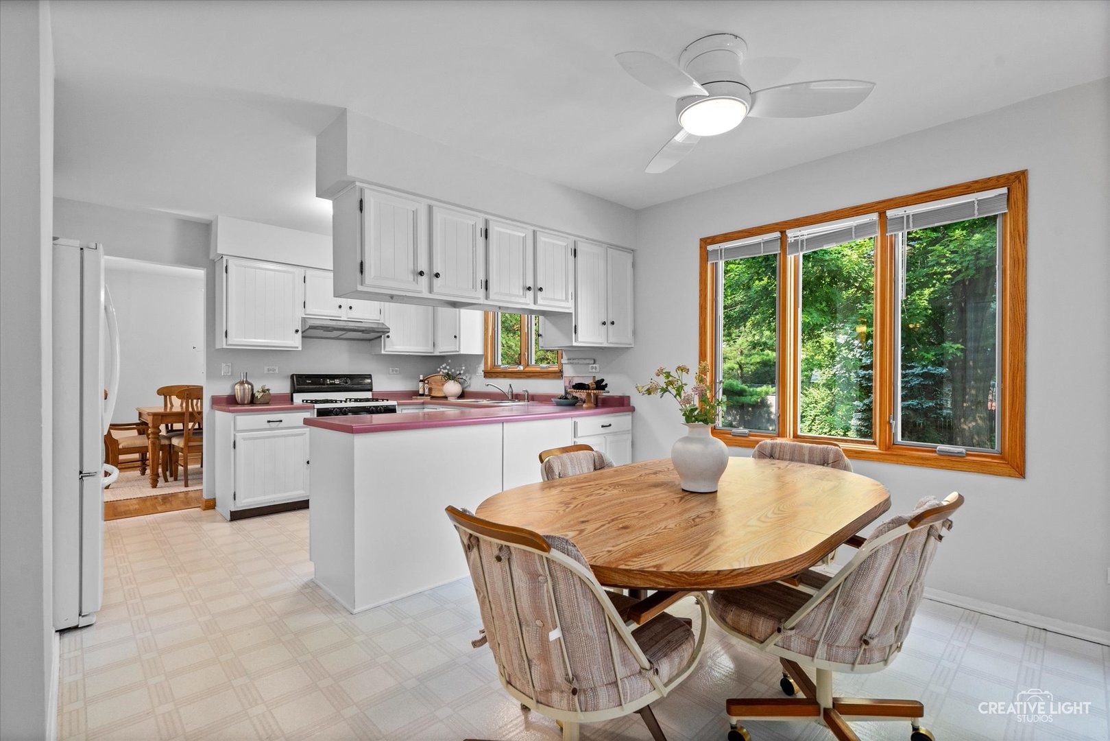 245 Terrance Drive, Naperville, IL 60565