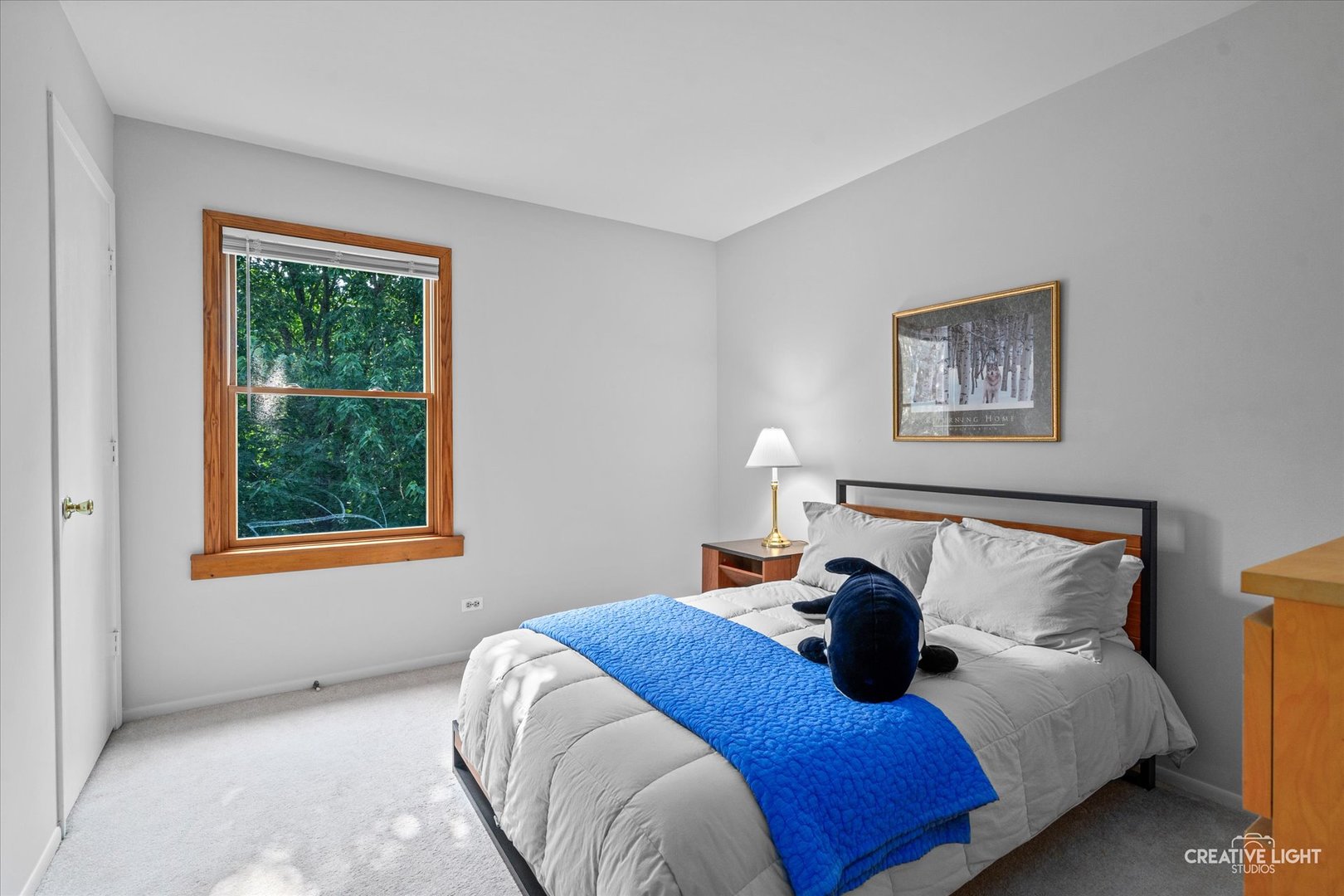 245 Terrance Drive, Naperville, IL 60565