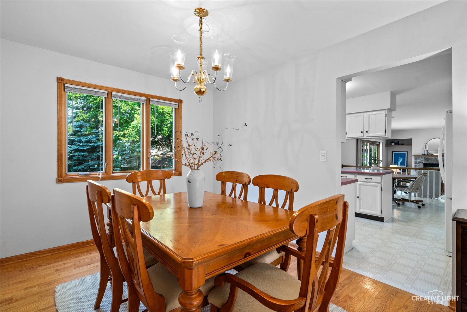 245 Terrance Drive, Naperville, IL 60565