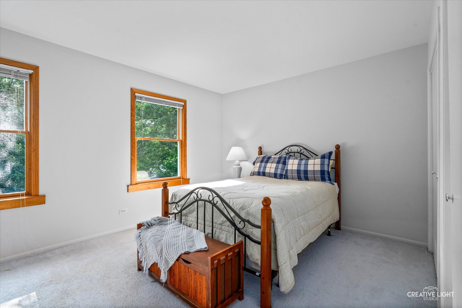 245 Terrance Drive, Naperville, IL 60565