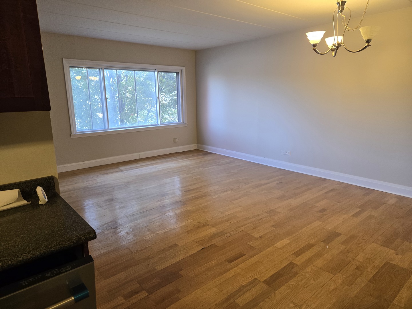 3909 W W 123RD ST. Street #205A, Alsip, IL 60803