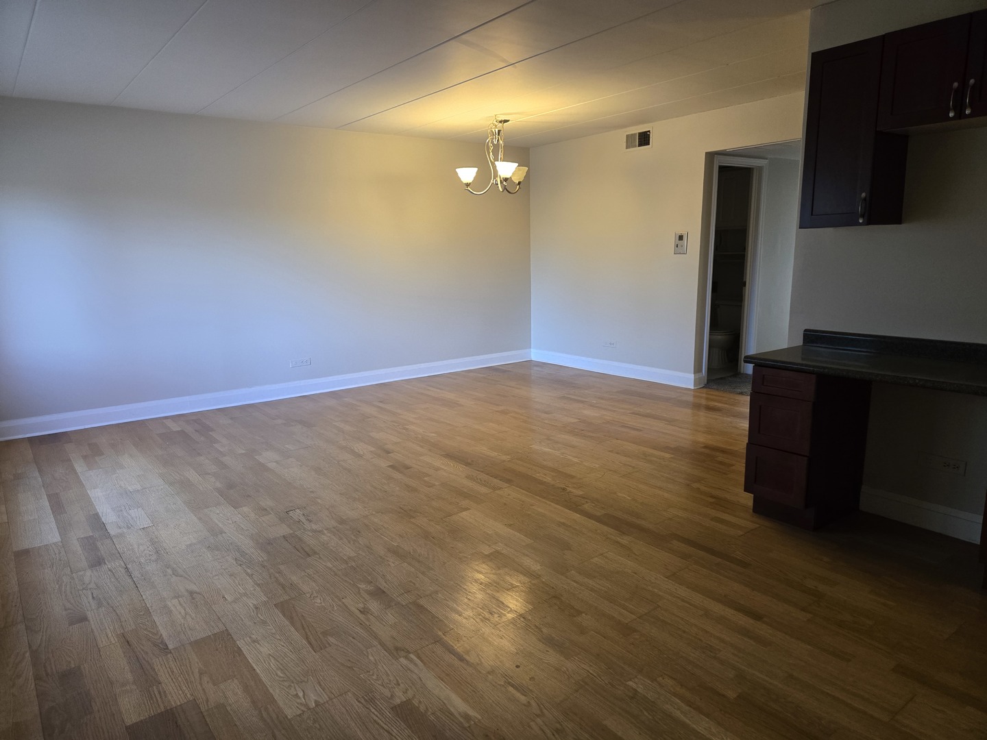 3909 W W 123RD ST. Street #205A, Alsip, IL 60803