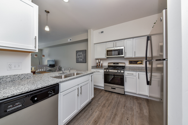 1257 Comiskey Avenue, North Aurora, IL 60542