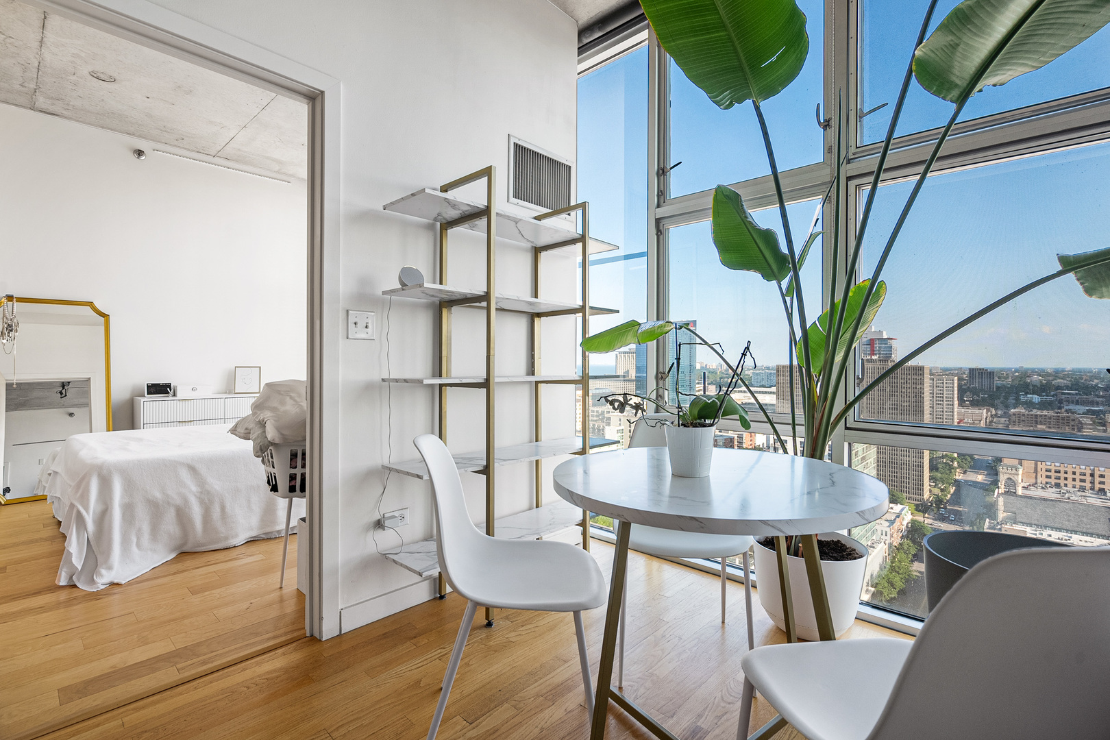 1720 S Michigan Avenue #2609, Chicago, IL 60616