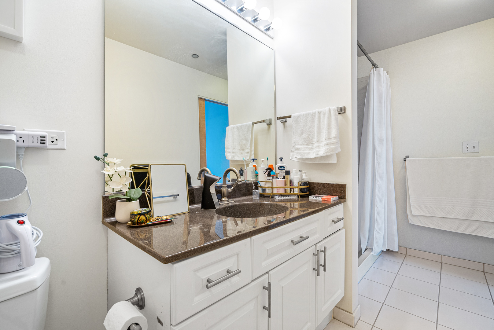 1720 S Michigan Avenue #2609, Chicago, IL 60616
