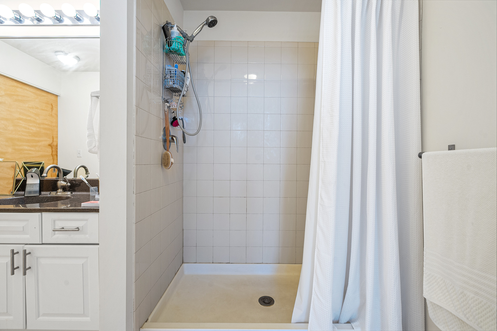 1720 S Michigan Avenue #2609, Chicago, IL 60616