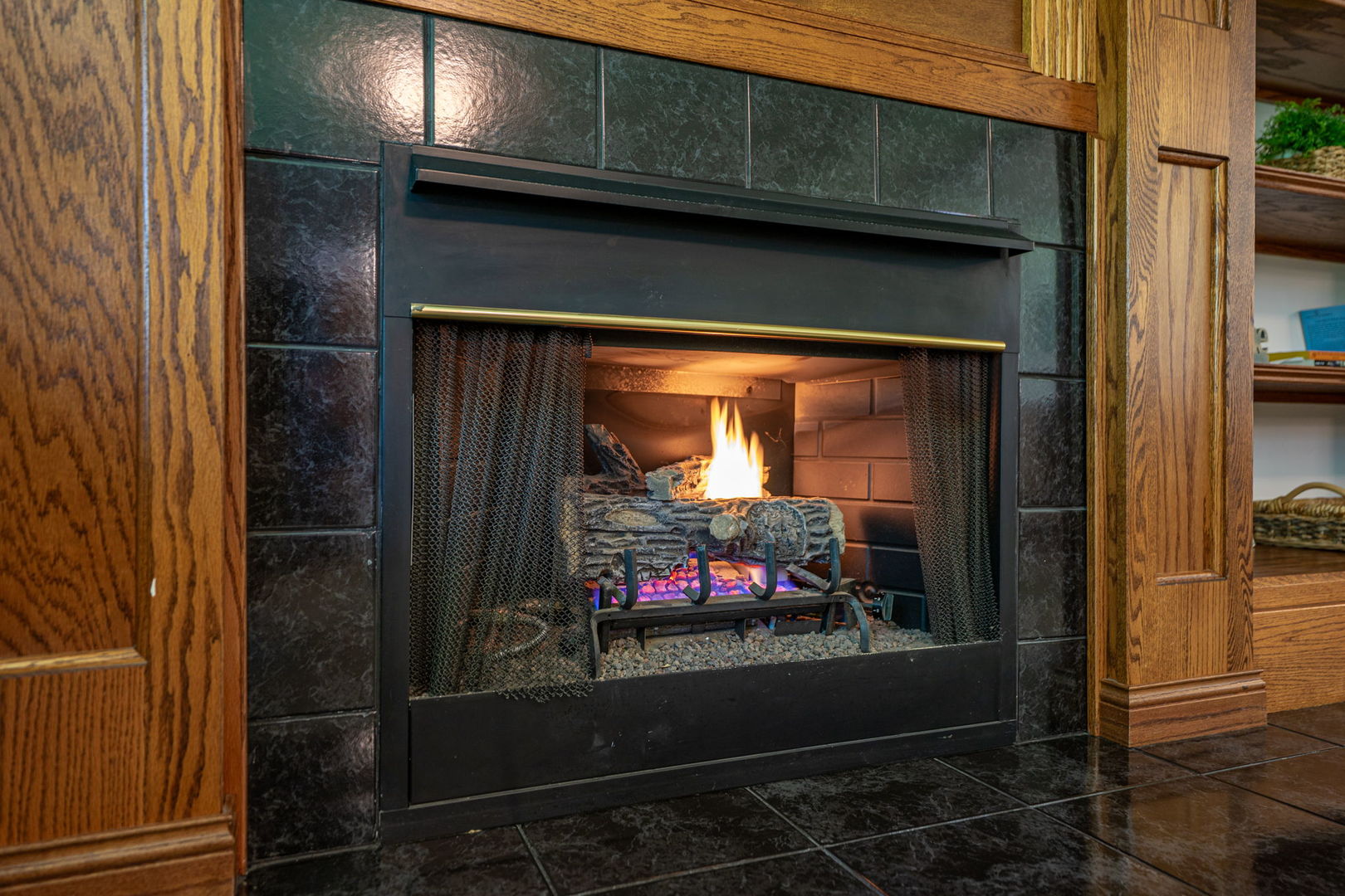 1313 Chatham Lane, Woodstock, IL 60098