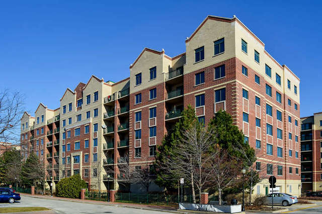 11 S Wille Street #501, Mount Prospect, IL 60056
