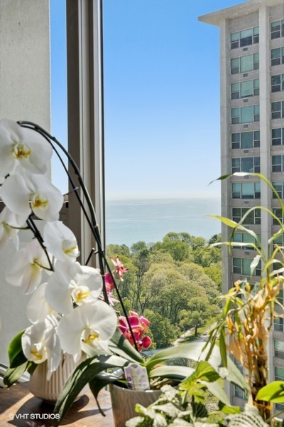 3600 N Lake Shore Drive #2223, Chicago, IL 60613
