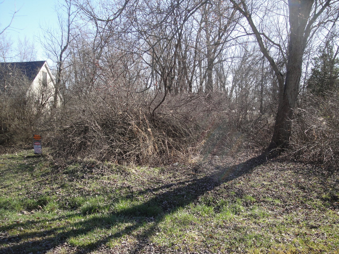 4373 Dewey Avenue, Matteson, IL 60443