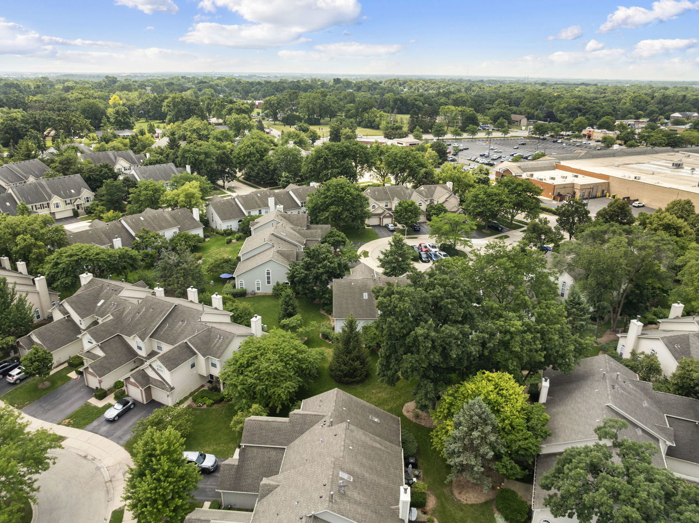 1074 Woodhill Court #1074, Elgin, IL 60120