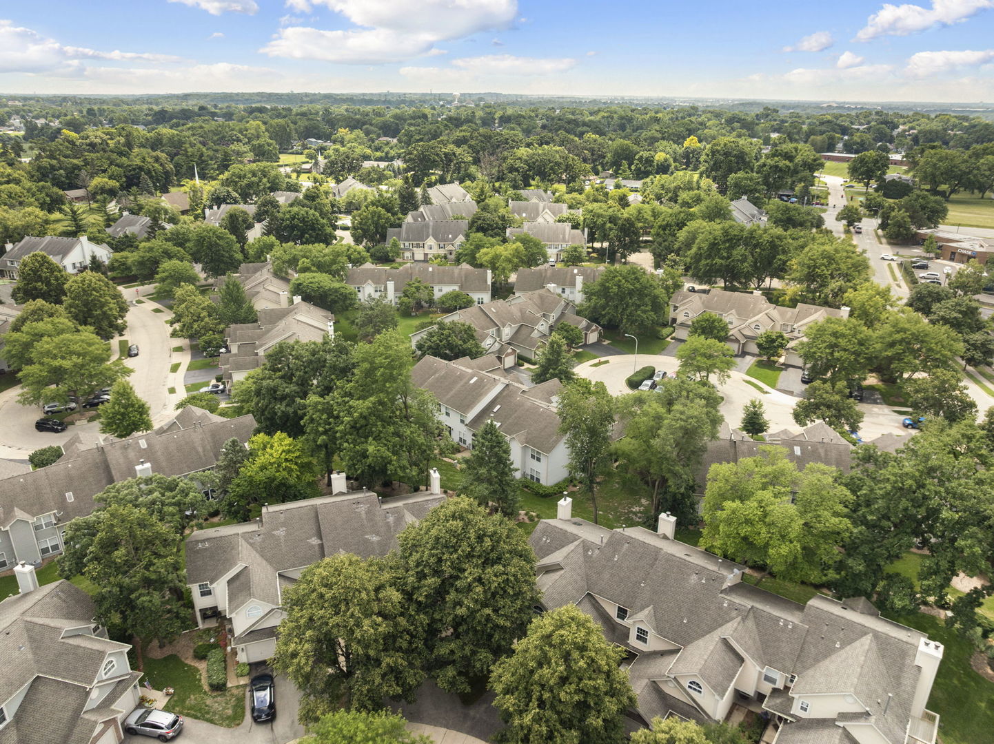 1074 Woodhill Court #1074, Elgin, IL 60120
