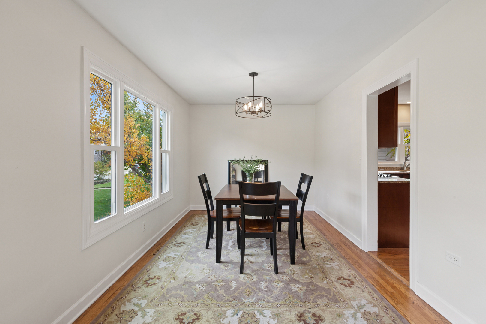 1108 N Main Street, Wheaton, IL 60187