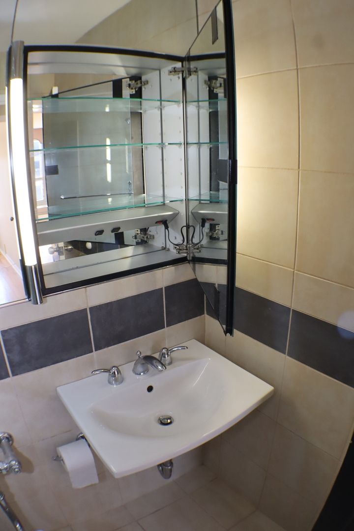 3550 N Lake Shore Drive #1210, Chicago, IL 60657