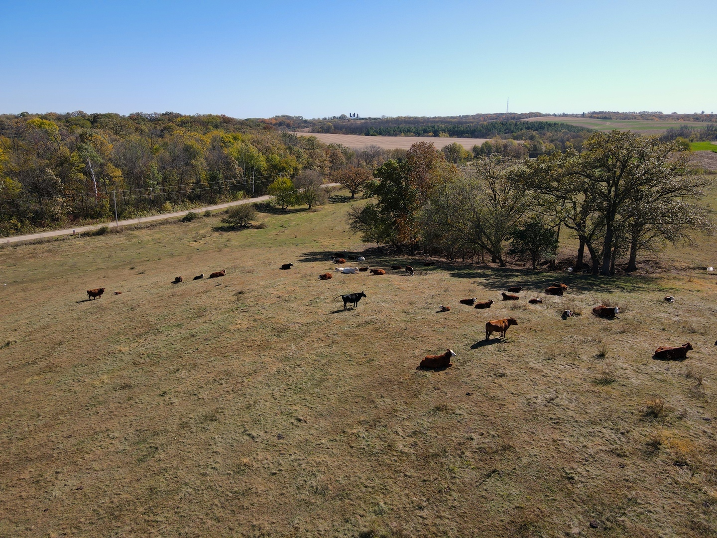 000 Holstein Prairie Road, Monticello, WI 53570