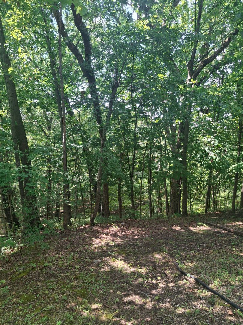 23864 S Plum Valley Drive, Crete, IL 60417