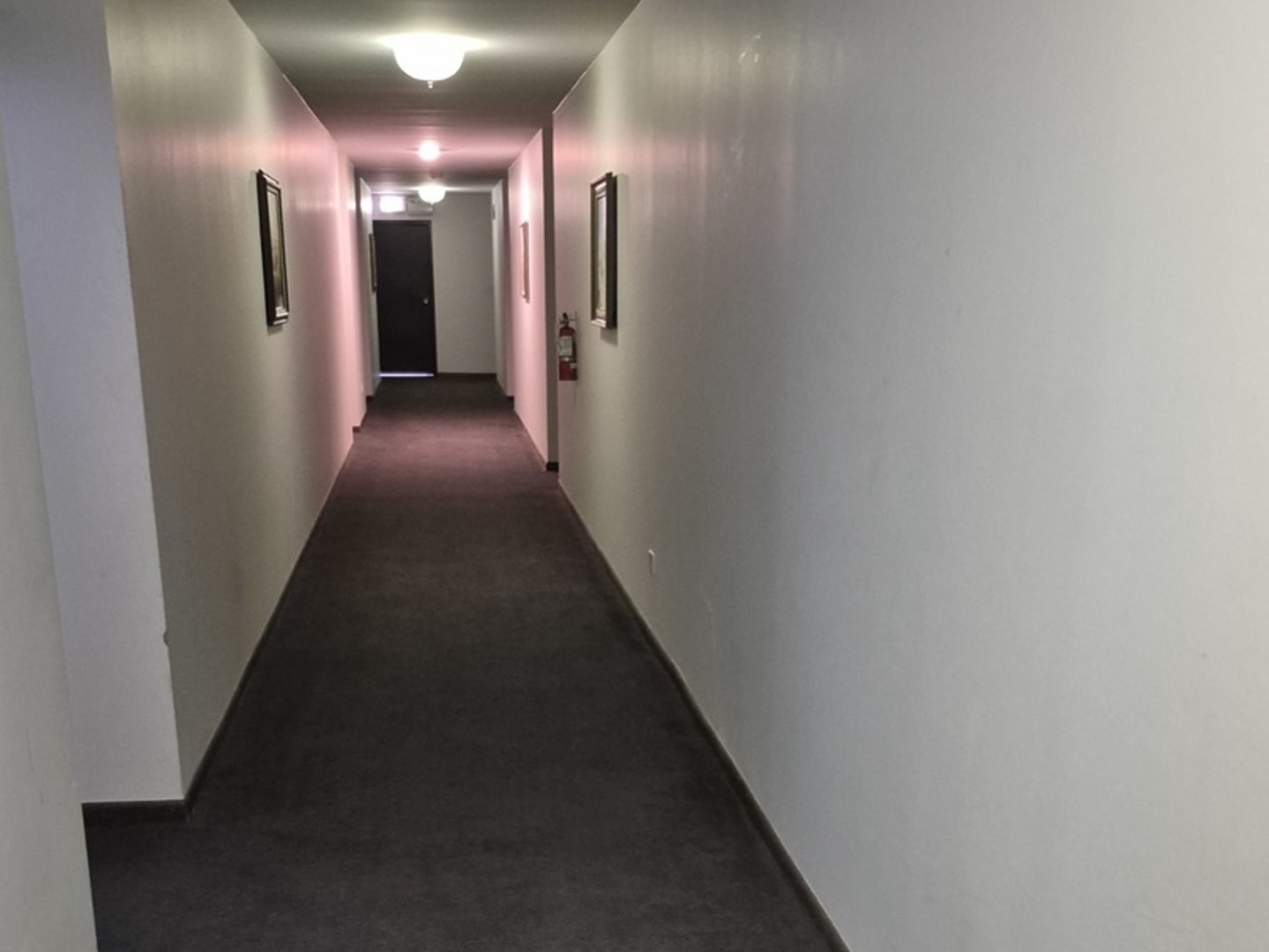 931 Arquilla Drive #314, Glenwood, IL 60425