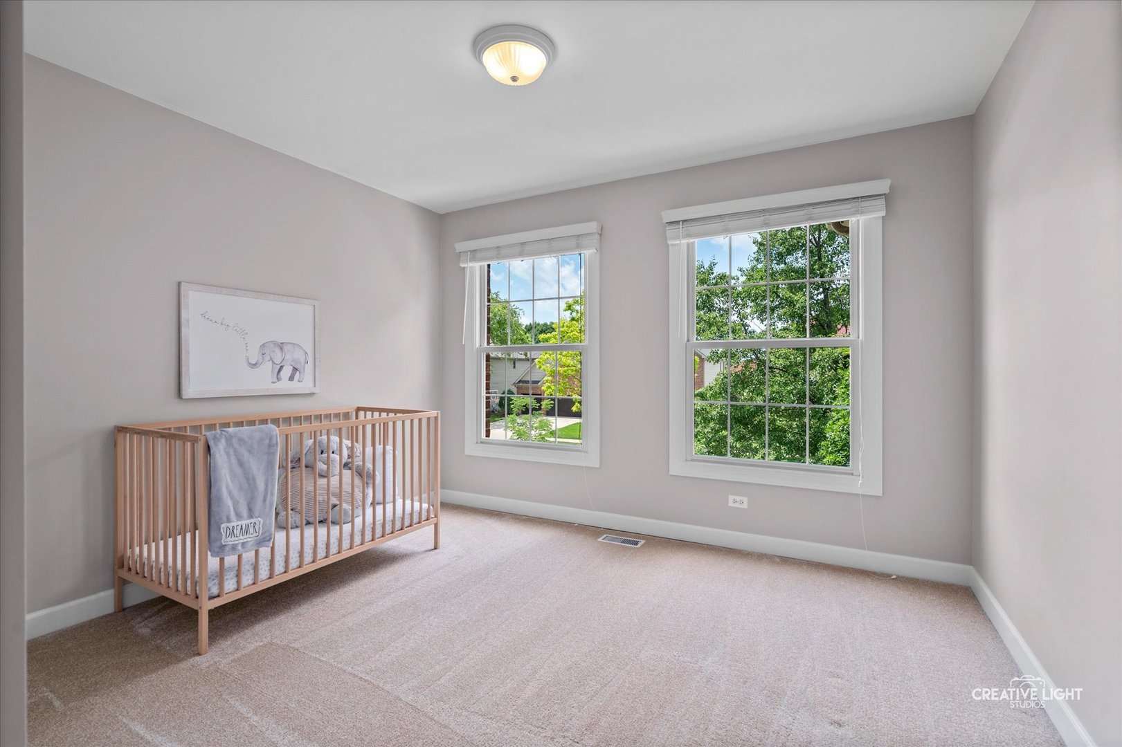 3427 Breitwieser Lane, Naperville, IL 60564