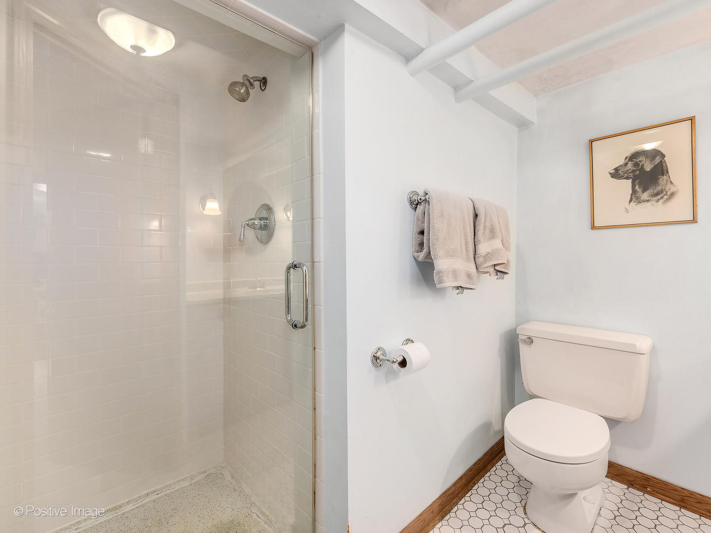 3 Orchard Place, Hinsdale, IL 60521