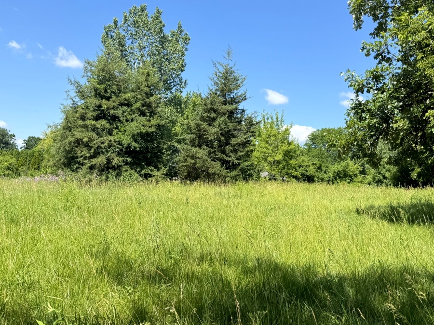 36432 N Fairfield Road, Ingleside, IL 60041