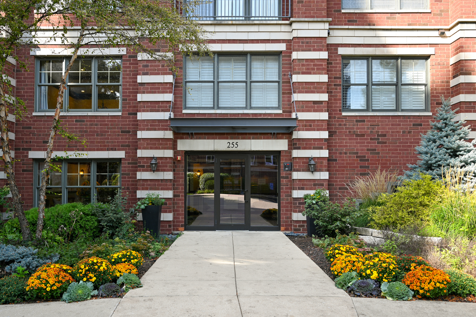 255 E Liberty Drive #301, Wheaton, IL 60187