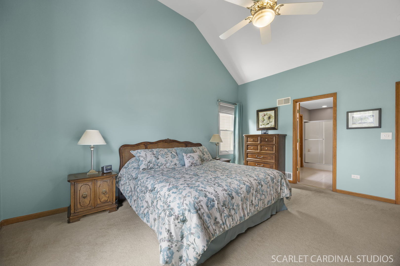 2436 Haider Avenue, Naperville, IL 60564