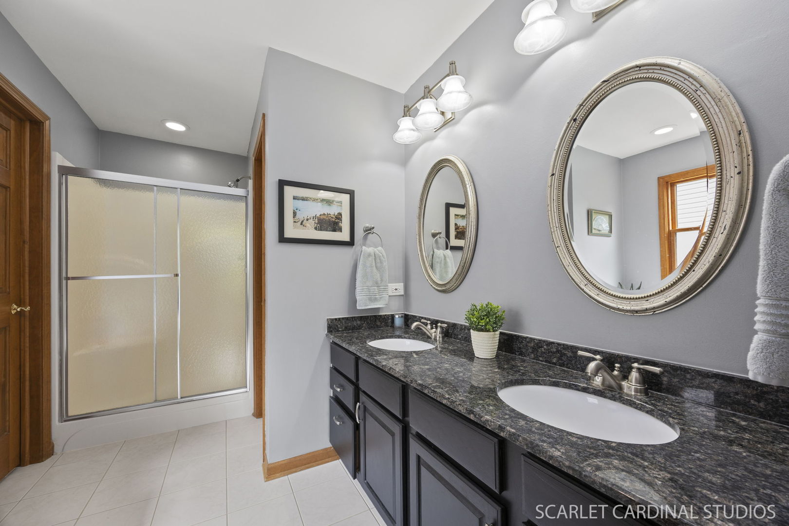 2436 Haider Avenue, Naperville, IL 60564