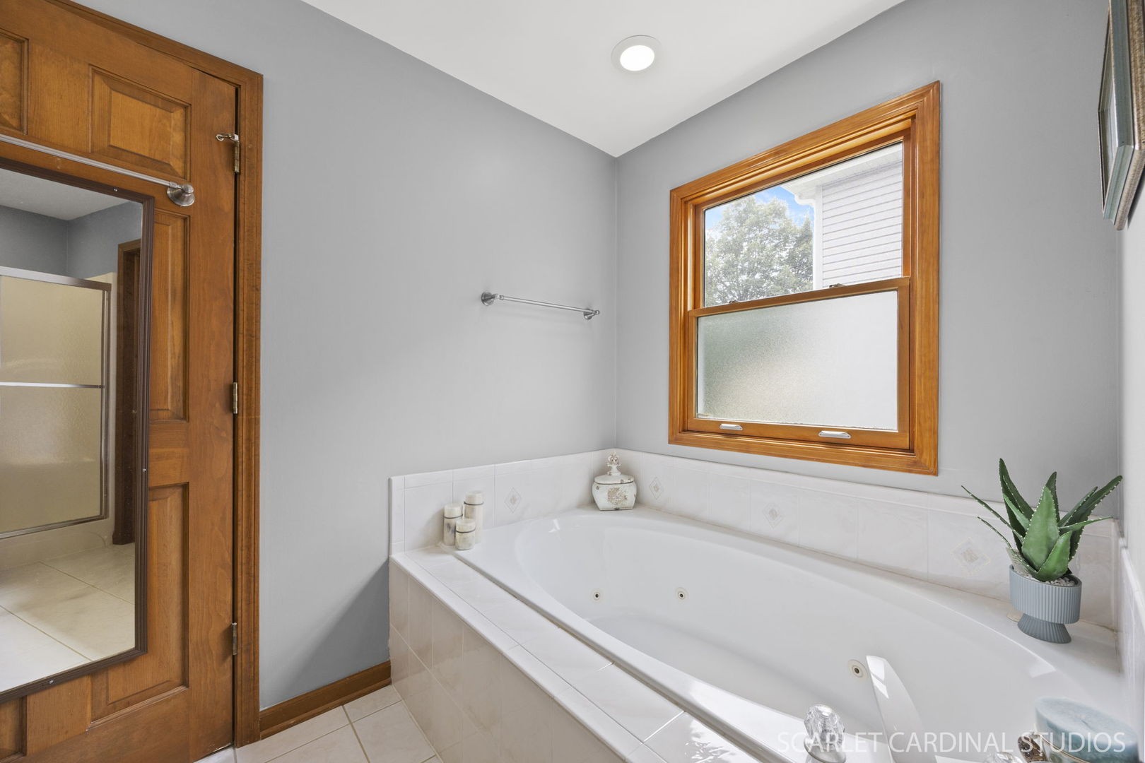 2436 Haider Avenue, Naperville, IL 60564