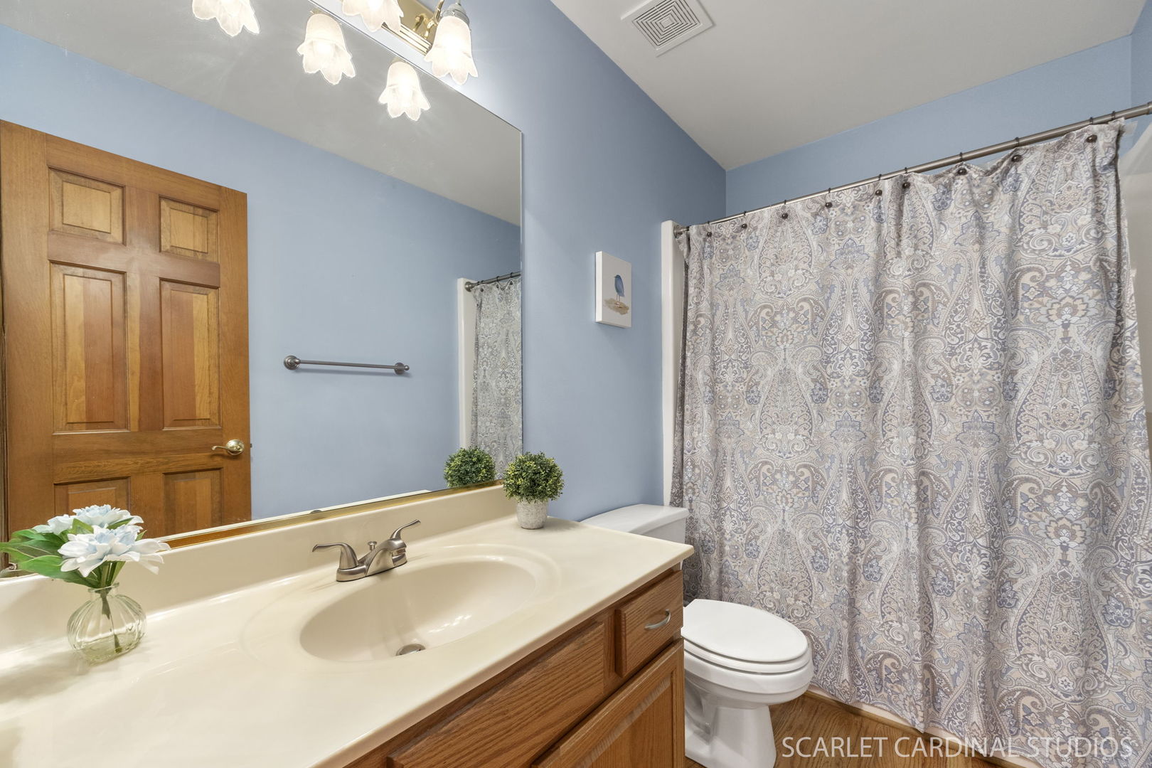 2436 Haider Avenue, Naperville, IL 60564