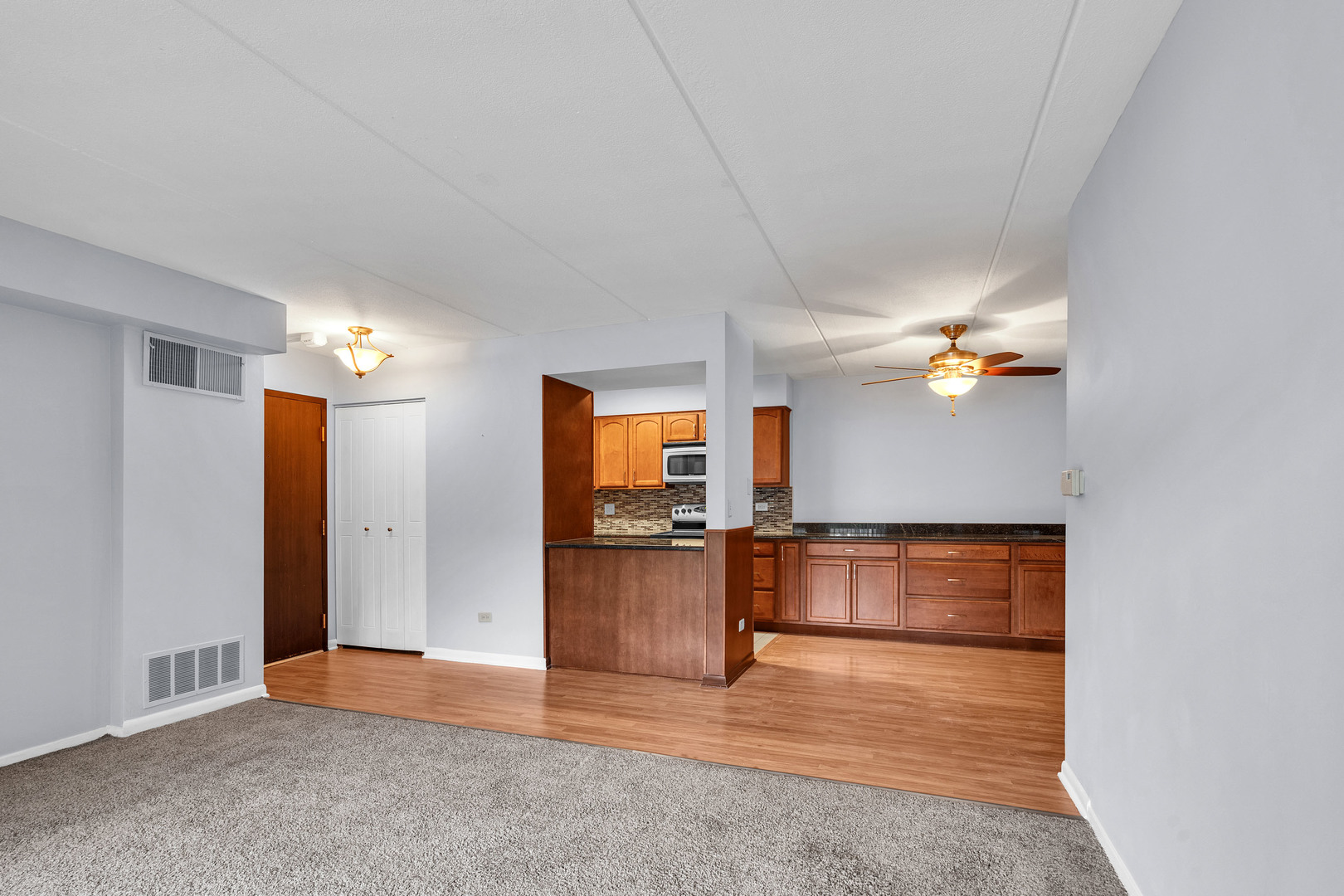 814 N River Road #1D, Mount Prospect, IL 60056