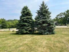 704 Russell Court, Heyworth, IL 61745