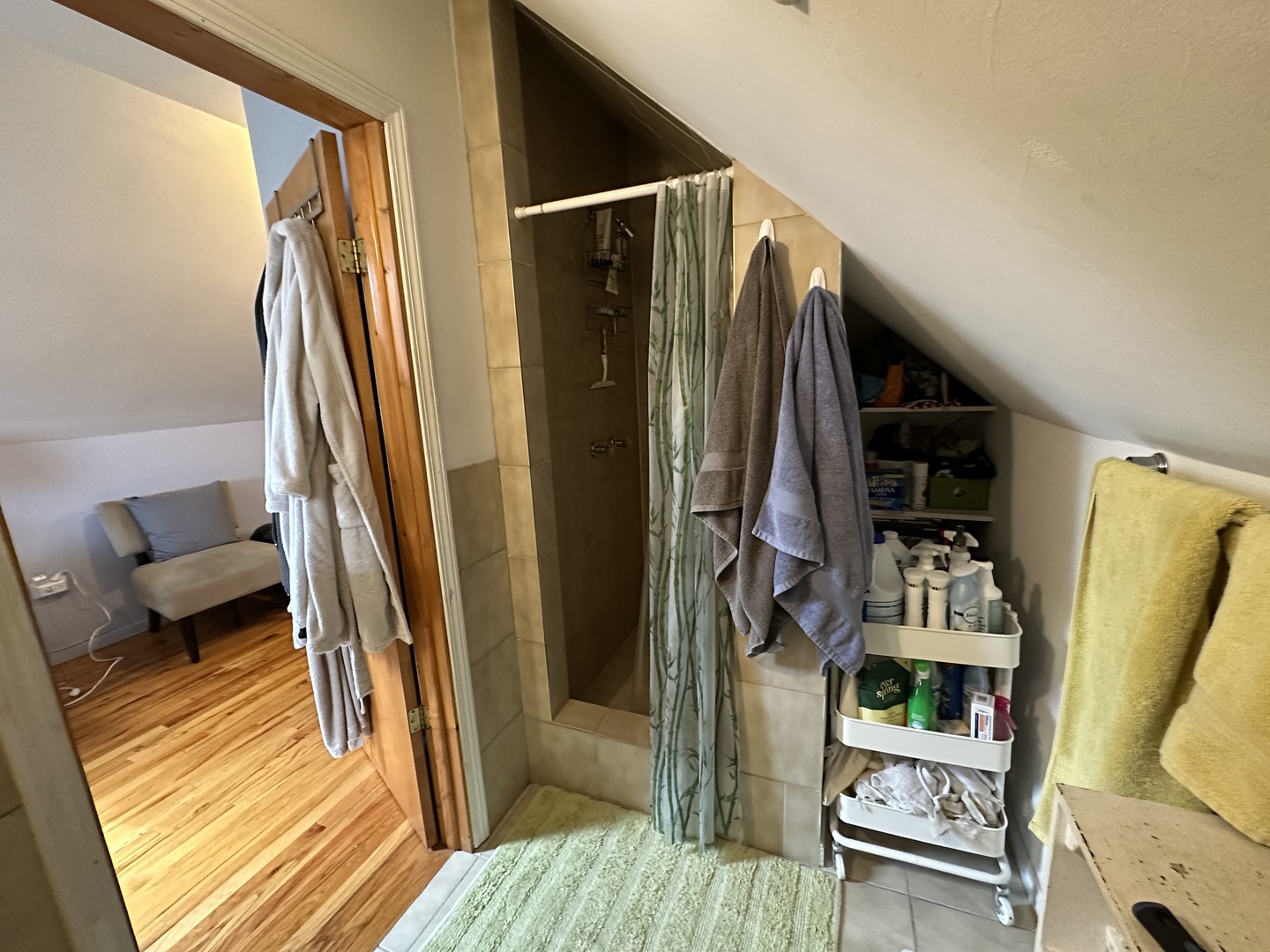 1516 N Greenview Avenue #3F, Chicago, IL 60642
