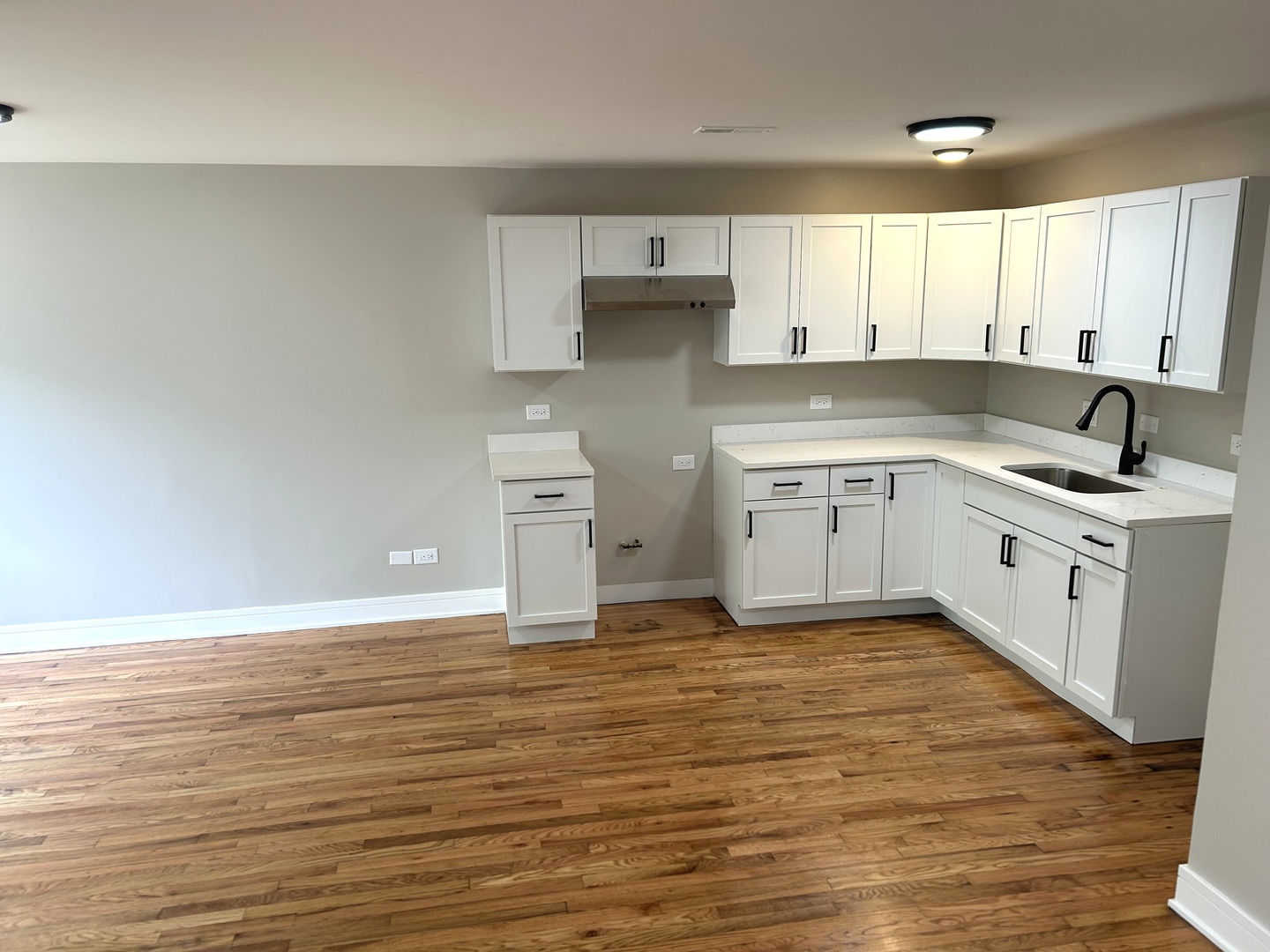 1224 S Harding Avenue, Chicago, IL 60623