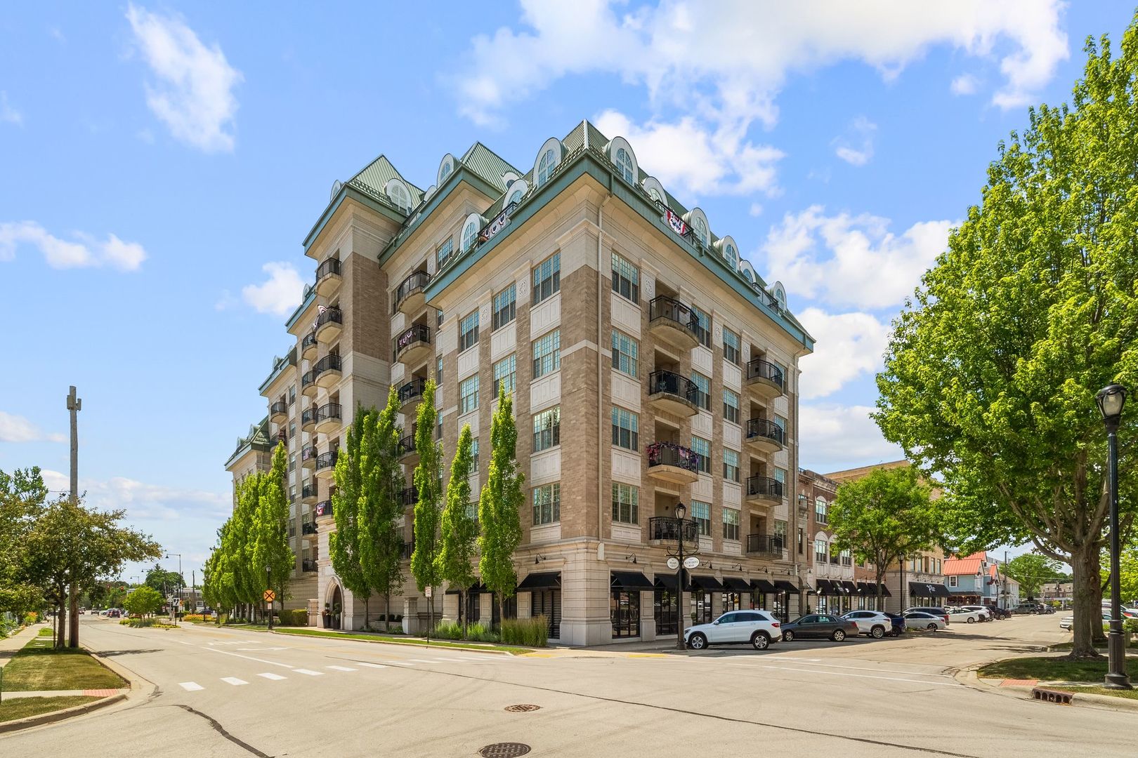 50 N Plum Grove Road #703E, Palatine, IL 60067