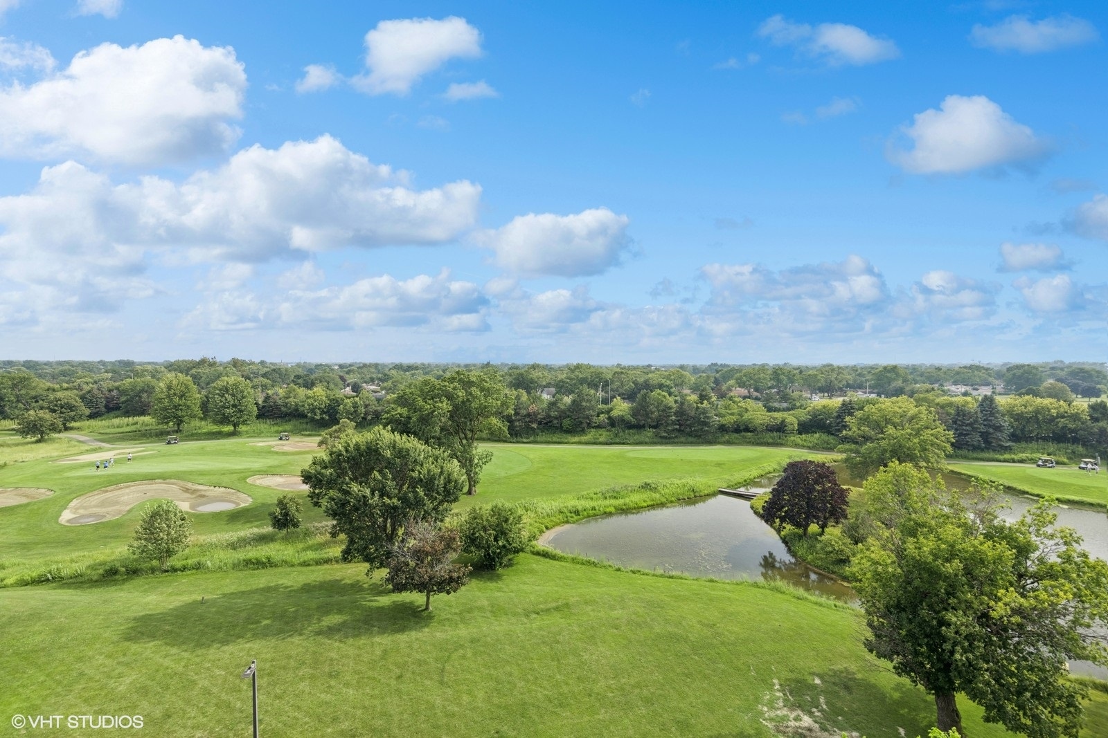 465 W Dominion Drive #709, Wood Dale, IL 60191