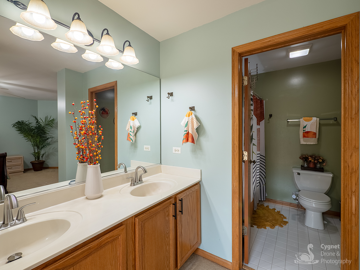 2906 Sun Valley Court, Plainfield, IL 60586
