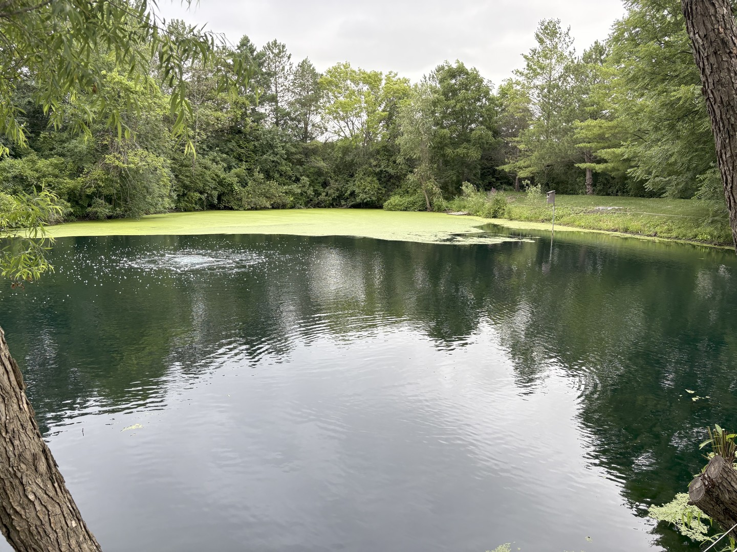 1305 Gavin Court, Lake Forest, IL 60045